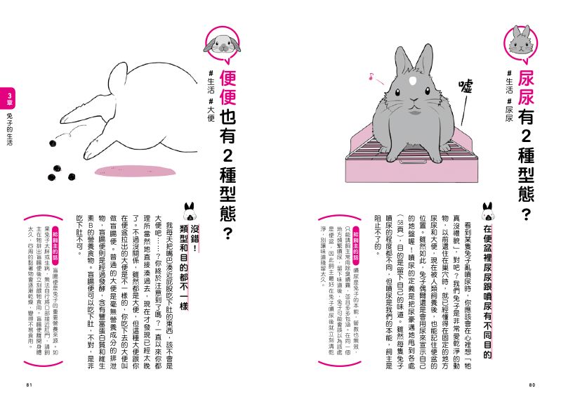 內頁 7