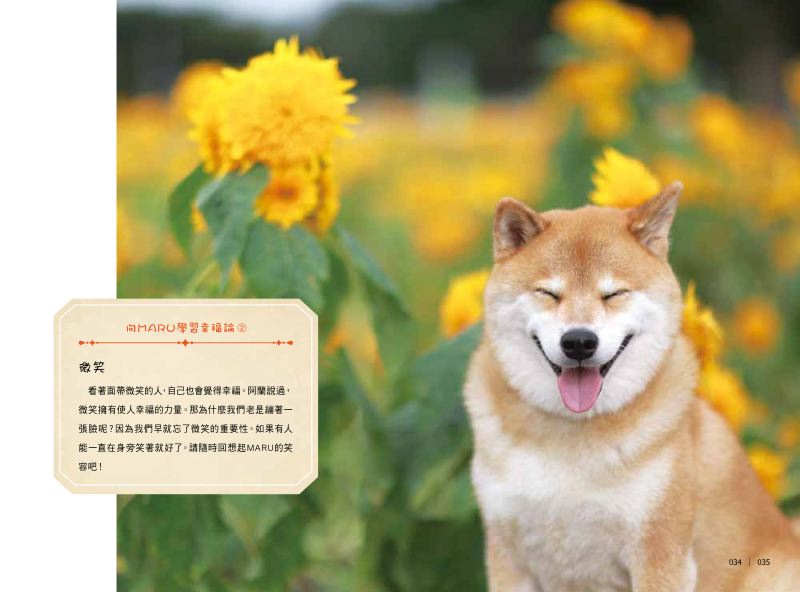內頁 6