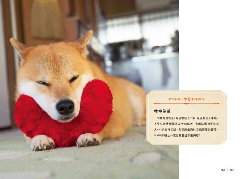 內頁 8