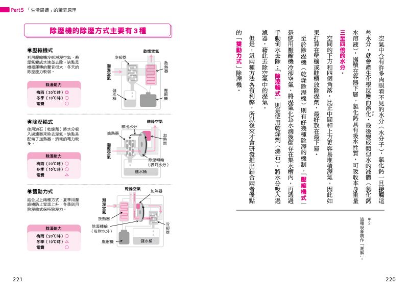 內頁 11