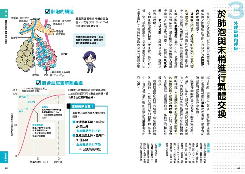 內頁 6