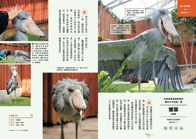內頁 7