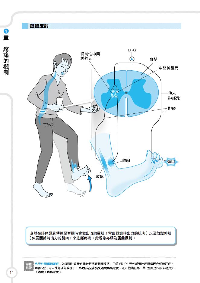 內頁 3