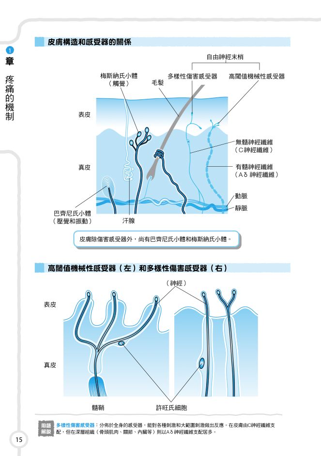 內頁 7