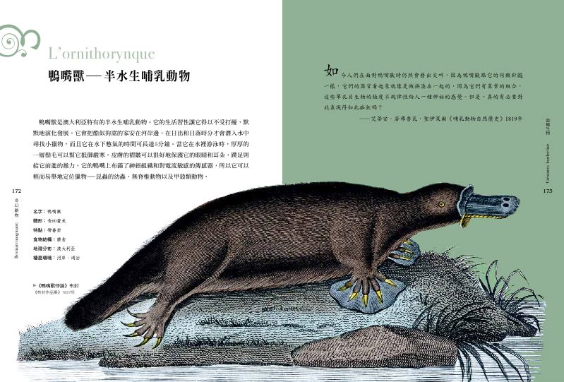 內頁 5