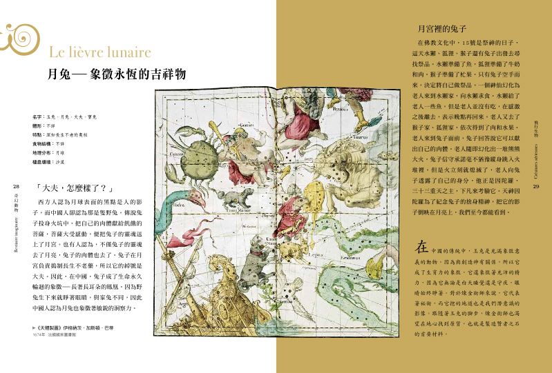 內頁 6