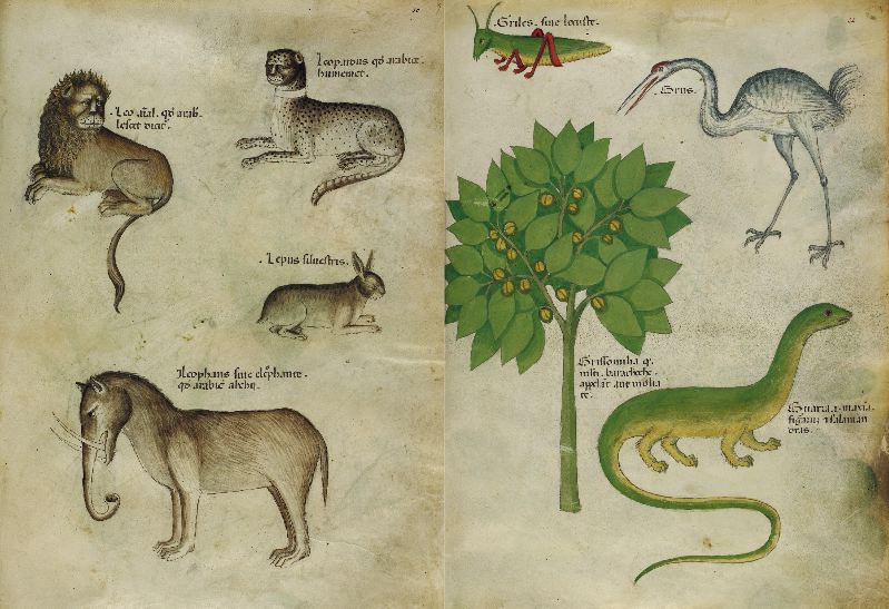 內頁 8