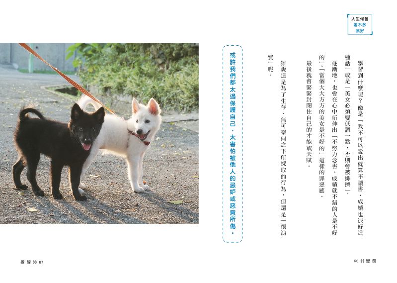 內頁 3