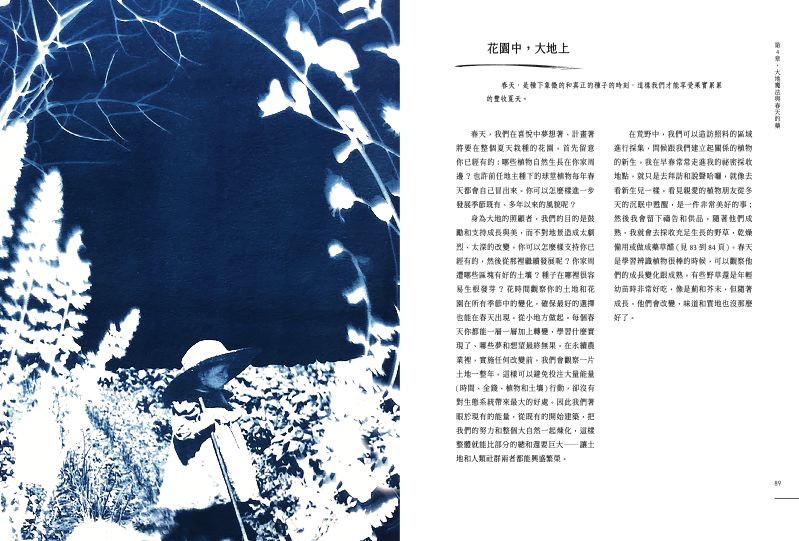 內頁 7