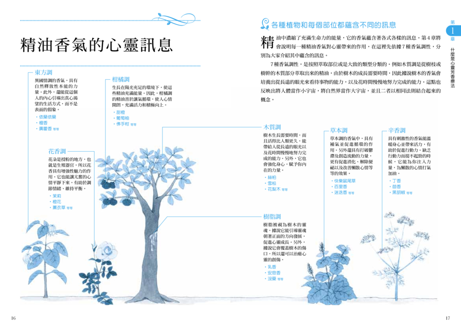 內頁 5