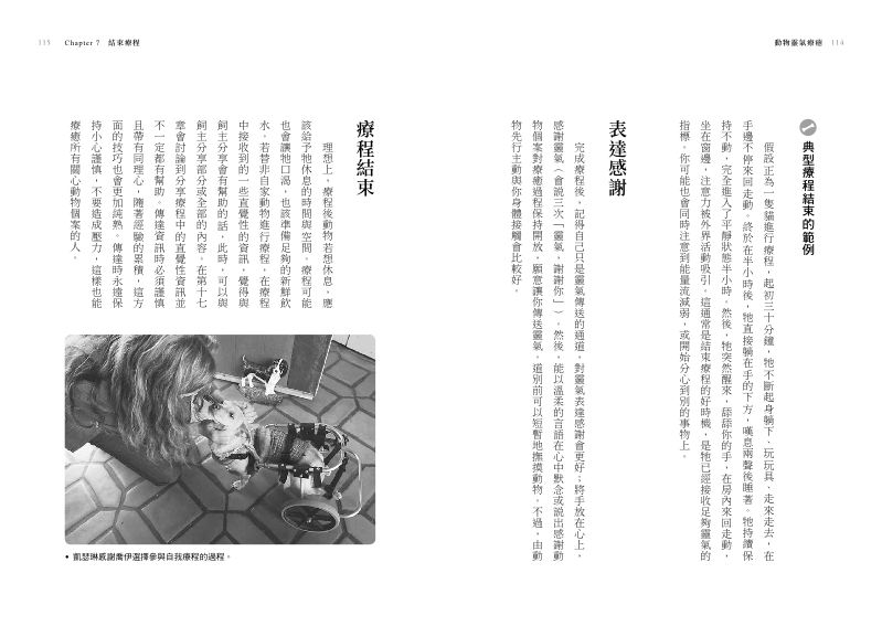 內頁 8