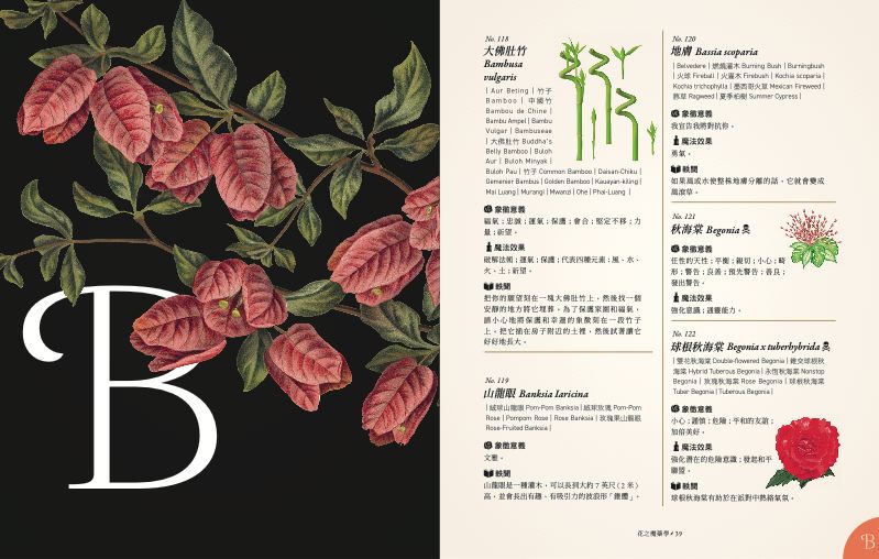 內頁 2