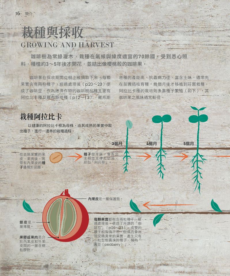 內頁 1