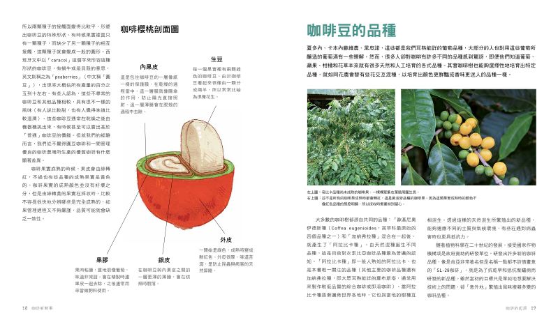 內頁 5