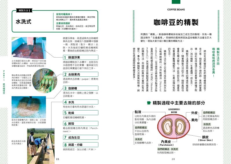 內頁 3