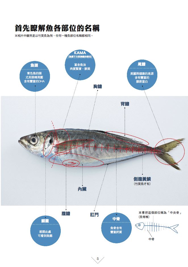 內頁 2