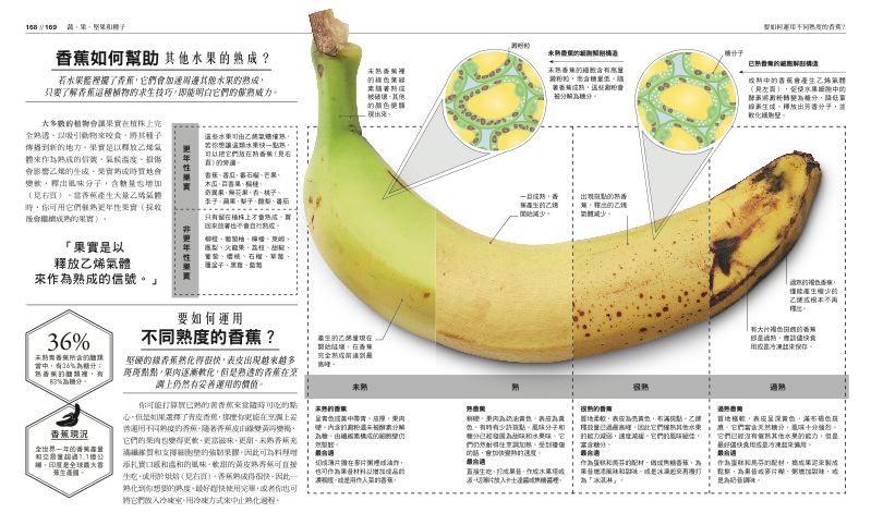 內頁 8