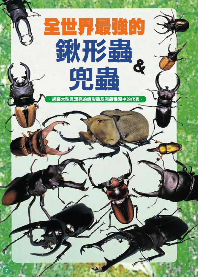 內頁 1