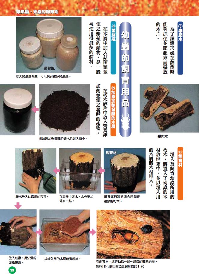 內頁 4