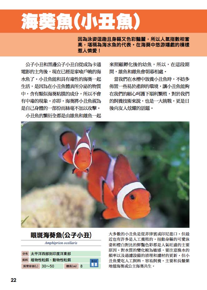 內頁 2