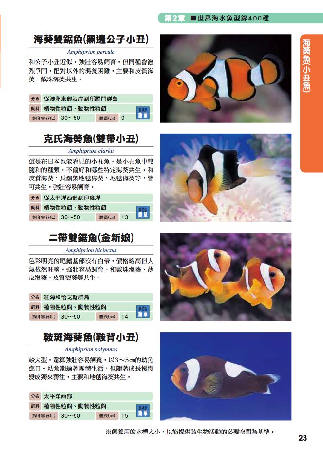 內頁 3