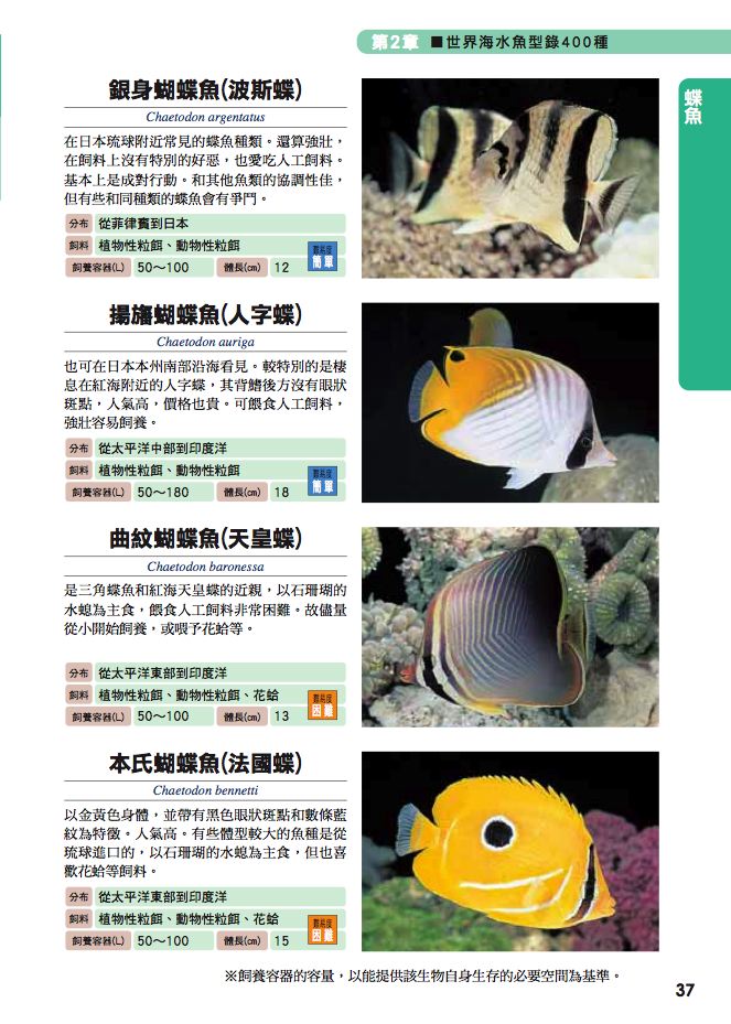 內頁 4