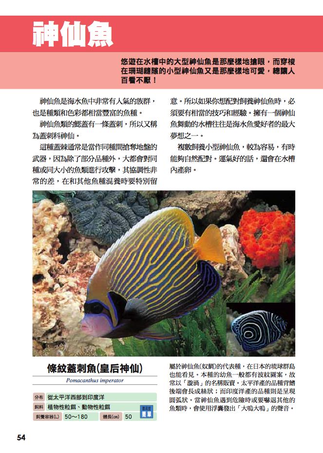內頁 5