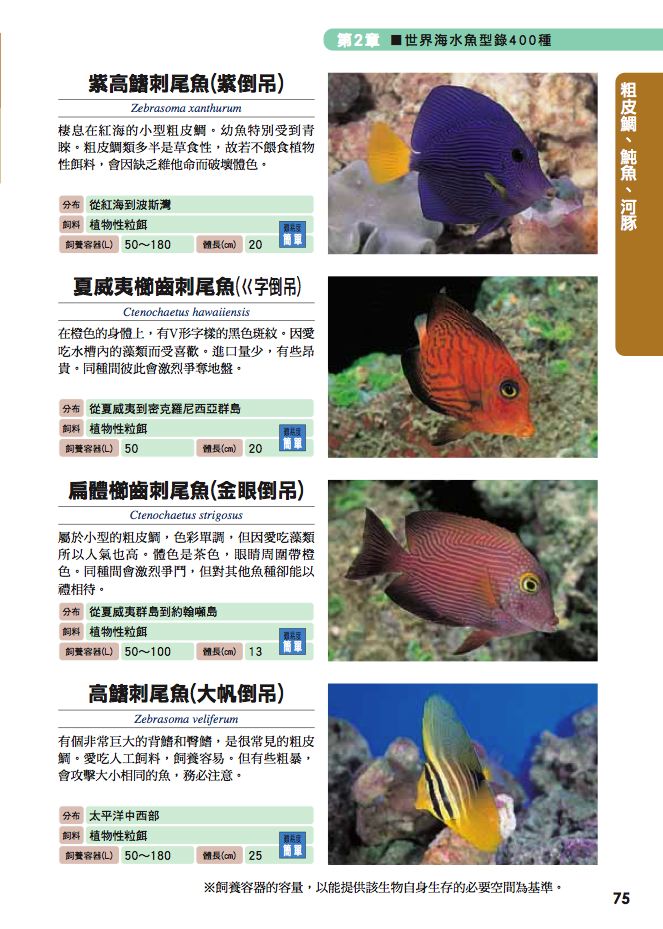 內頁 6