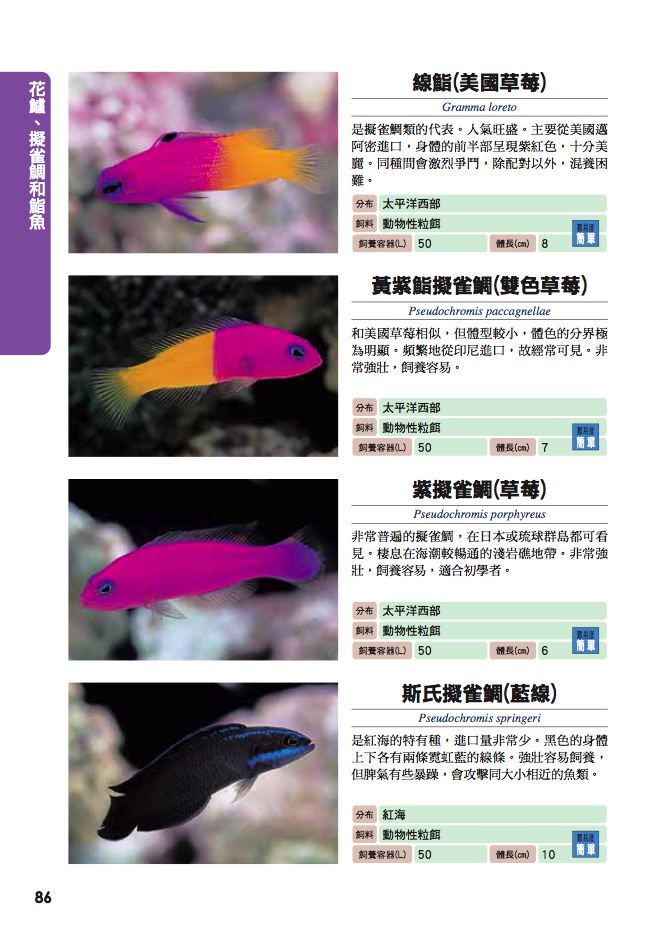 內頁 7