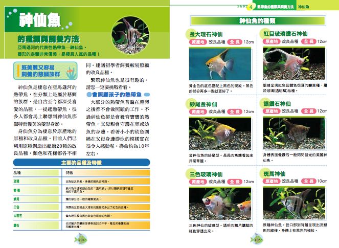 內頁 8