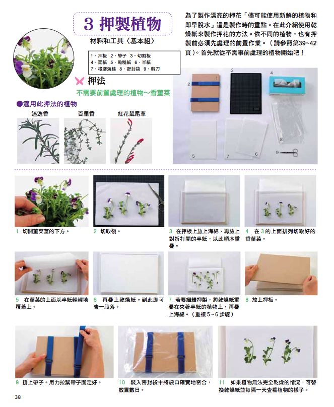 內頁 6