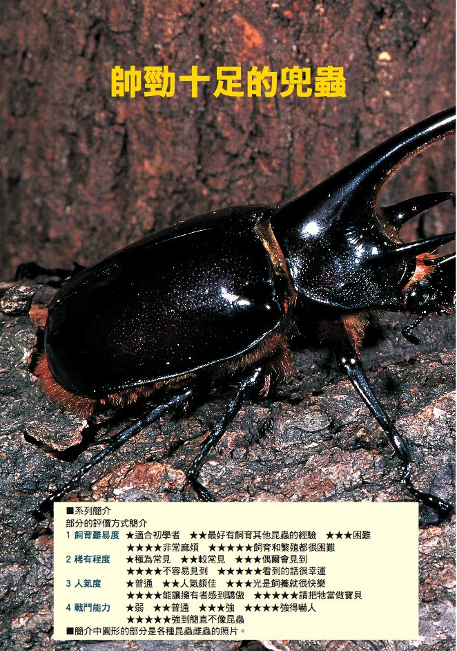 內頁 2