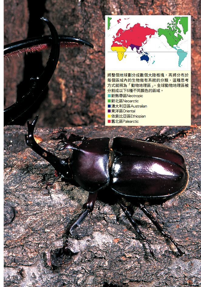 內頁 3