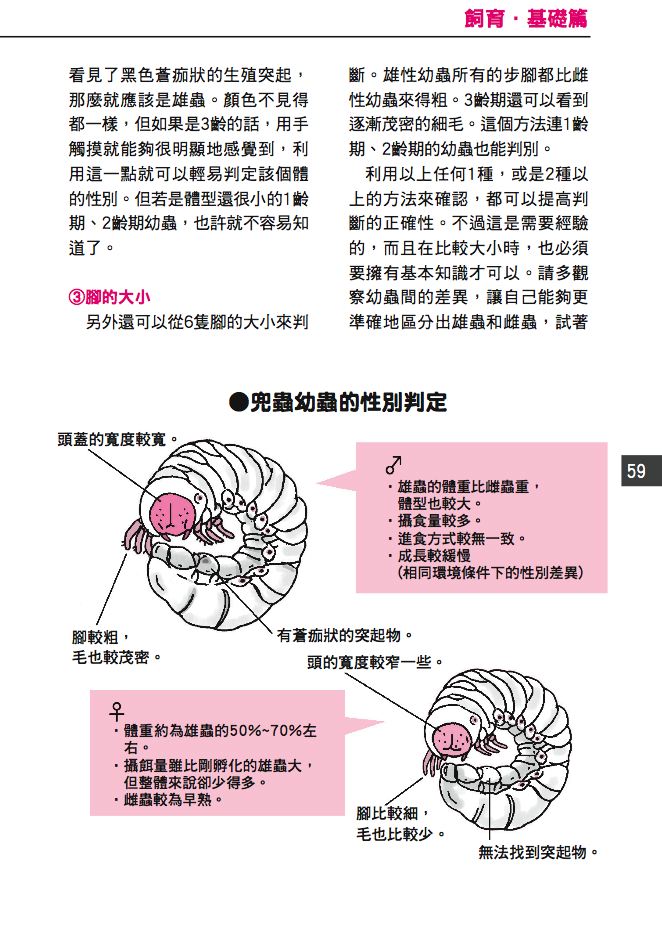 內頁 8