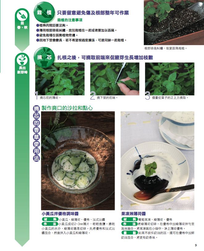 內頁 4