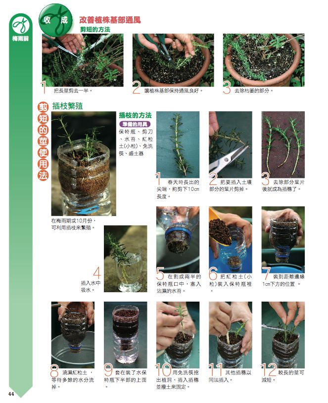 內頁 7