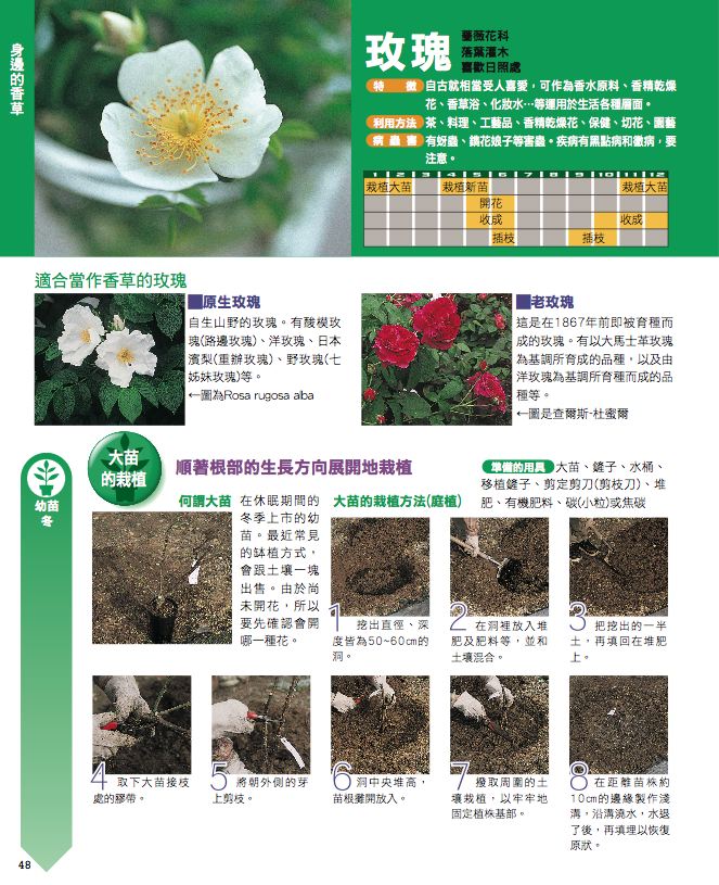 內頁 9