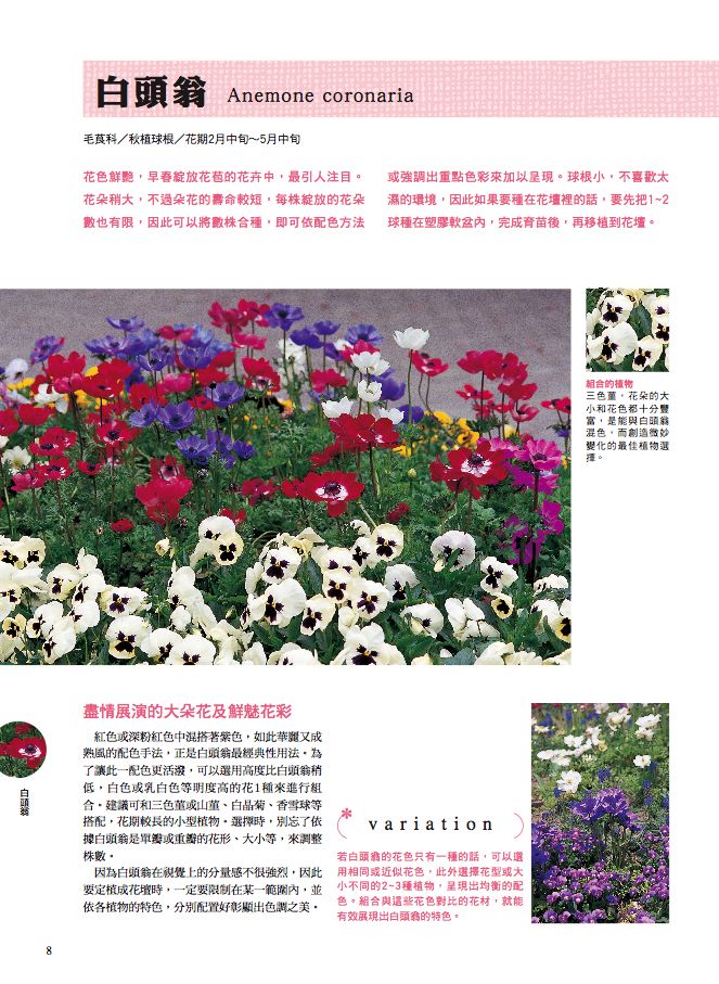內頁 1