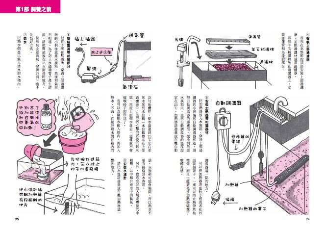 內頁 6
