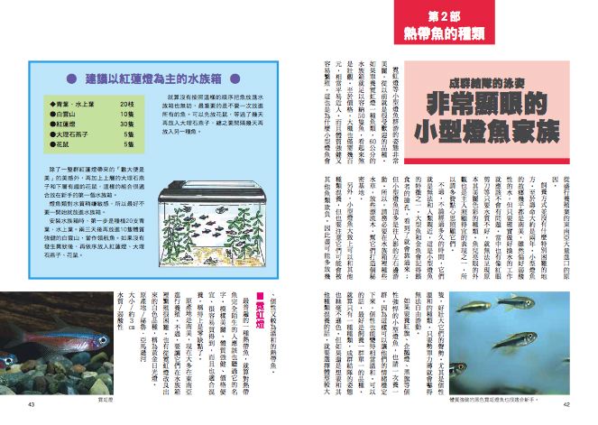 內頁 7