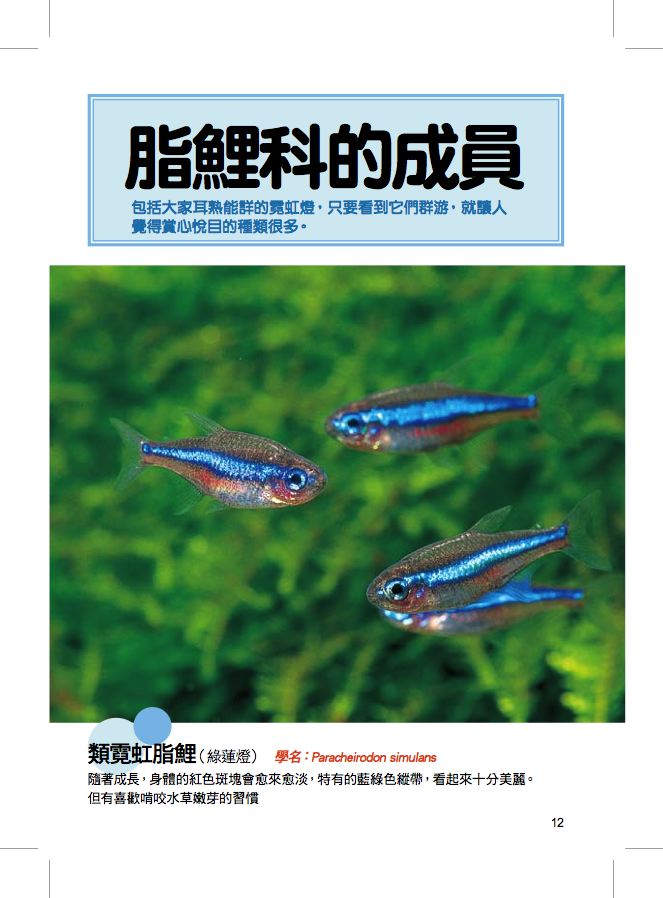 內頁 1