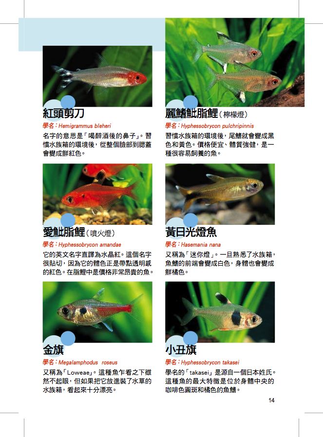 內頁 3