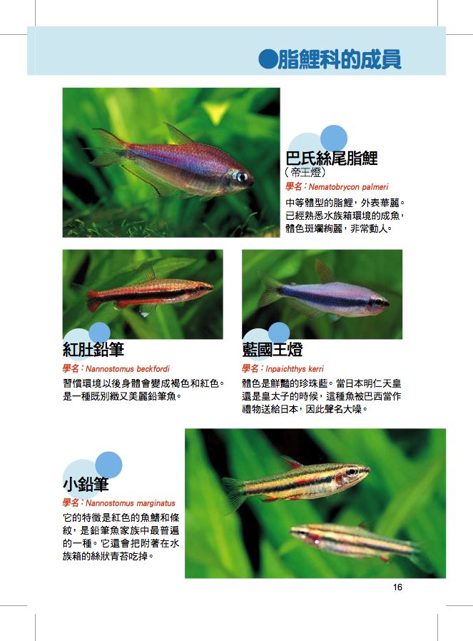 內頁 5