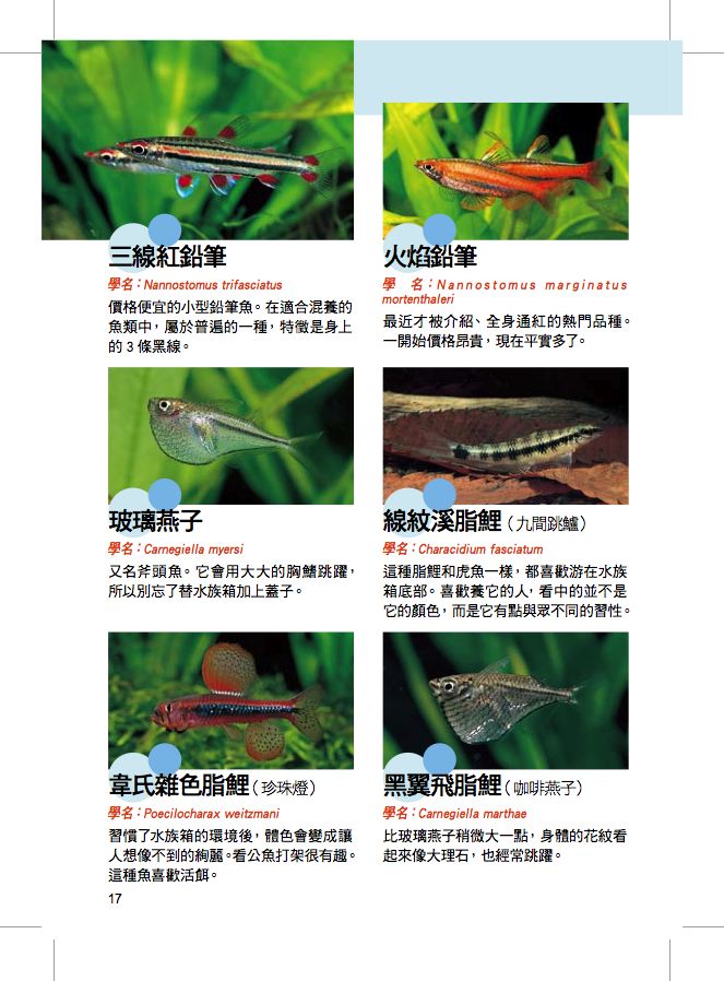 內頁 6