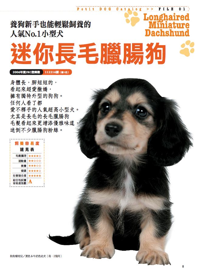 內頁 3
