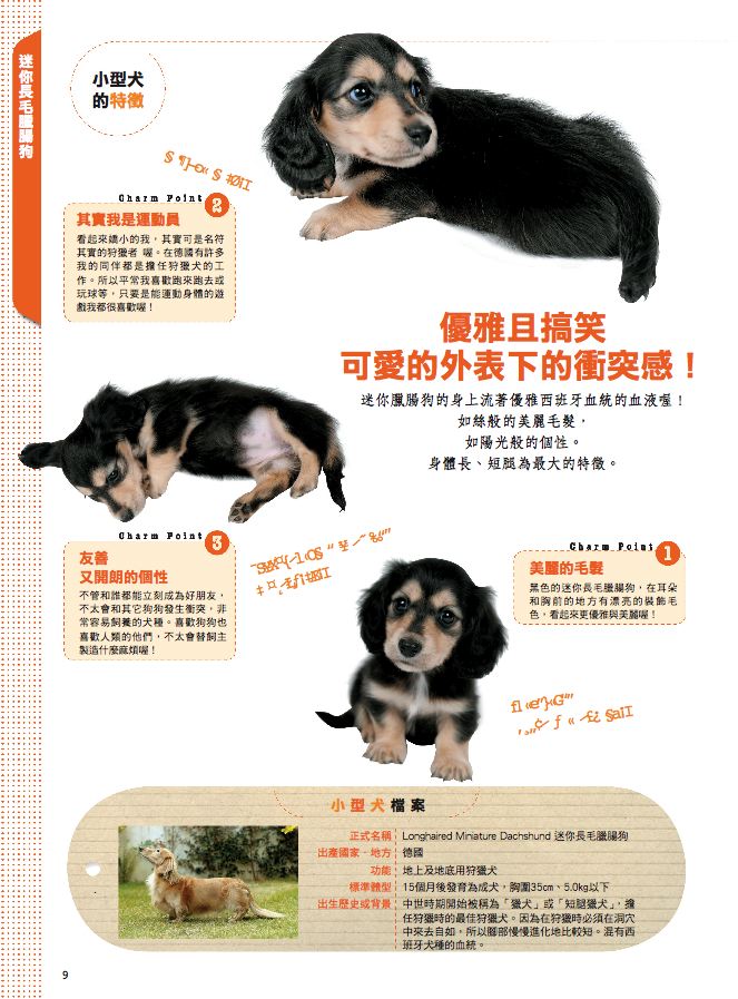 內頁 4