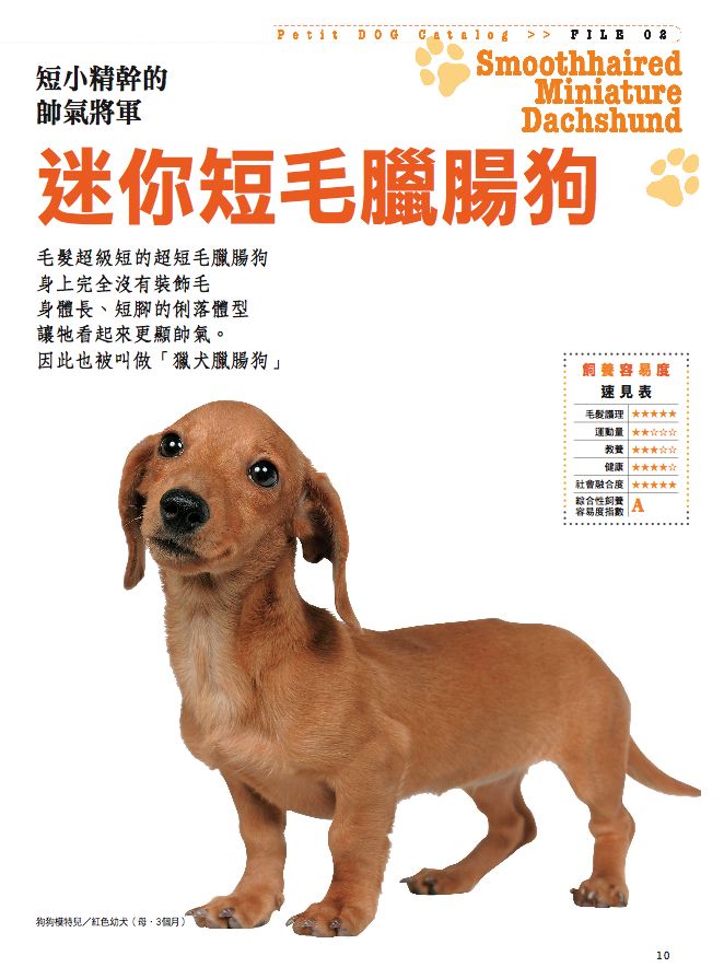 內頁 5