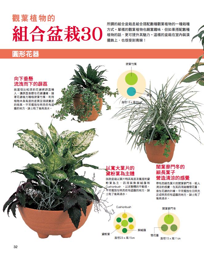 內頁 3