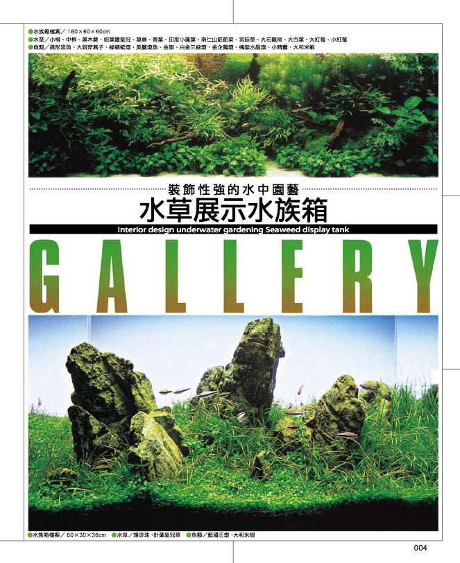 內頁 1
