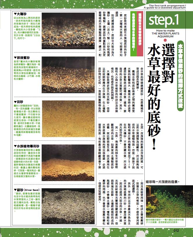 內頁 6